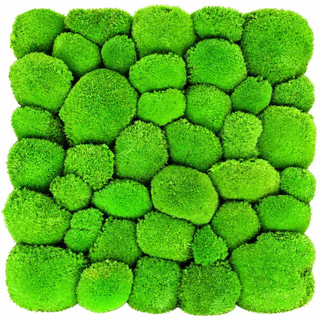 Stabilizirane kroglice maha – kroglični mah – svetlo zelene